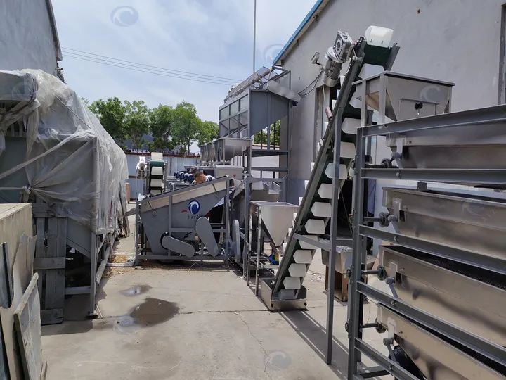 Станок для очистки миндаля | станок для очистки фундука 10 Полная линия по очистке миндаля