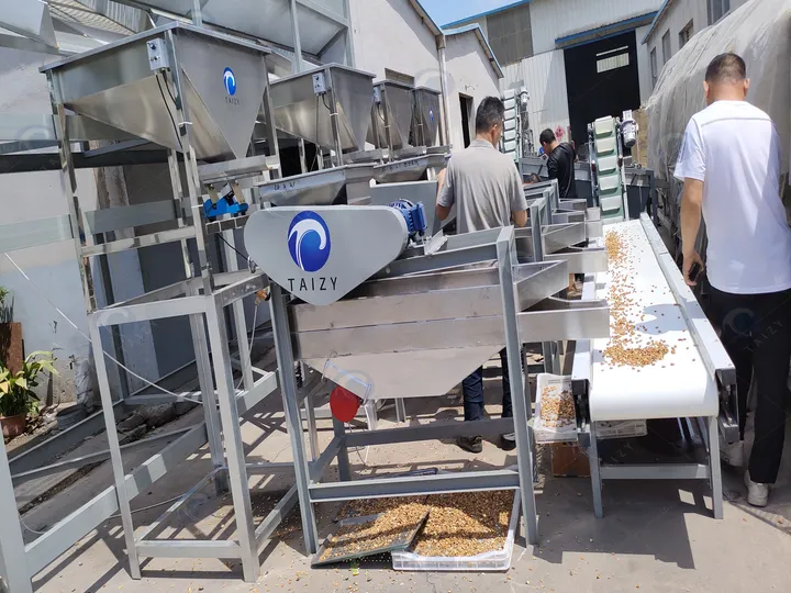 Машина для лущения миндаля | Машина для лущения фундука 7 Производственная линия по очистке миндаля находится в эксплуатации.