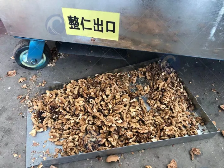 Best walnut cracking machine