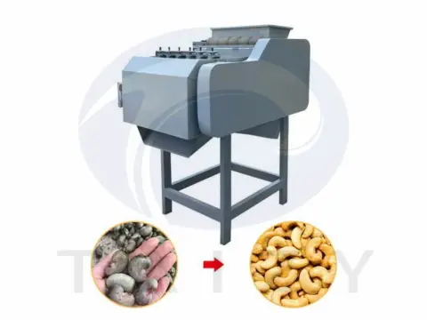 cashew nut shelling machine