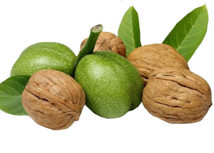 green walnut