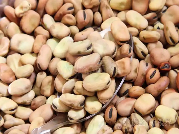 Wet Type Peanut Skin Peeling Machine 4 Broad beans