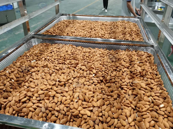 Dried almonds