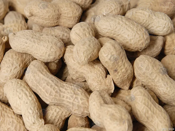 Dried peanuts