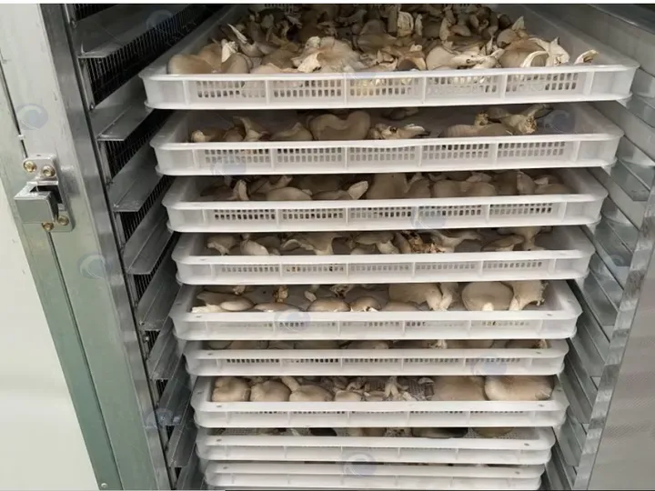 Drying mushrooms