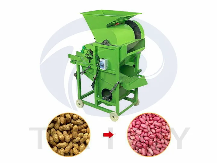 Máquina para descascar amendoim | Descascador de Amendoim 8 Máquina de descascar amendoim