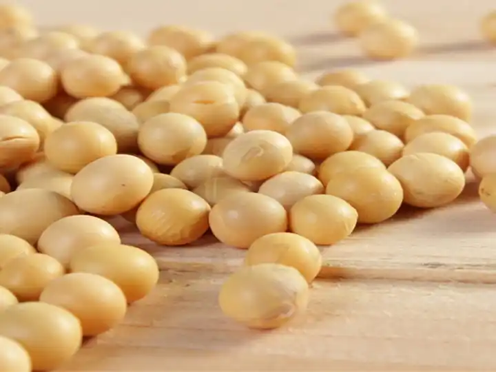 Wet Type Peanut Skin Peeling Machine 6 Soybeans