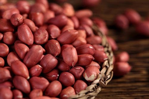 Is The Red Skin Of Peanuts Good For You Taizy Machinery