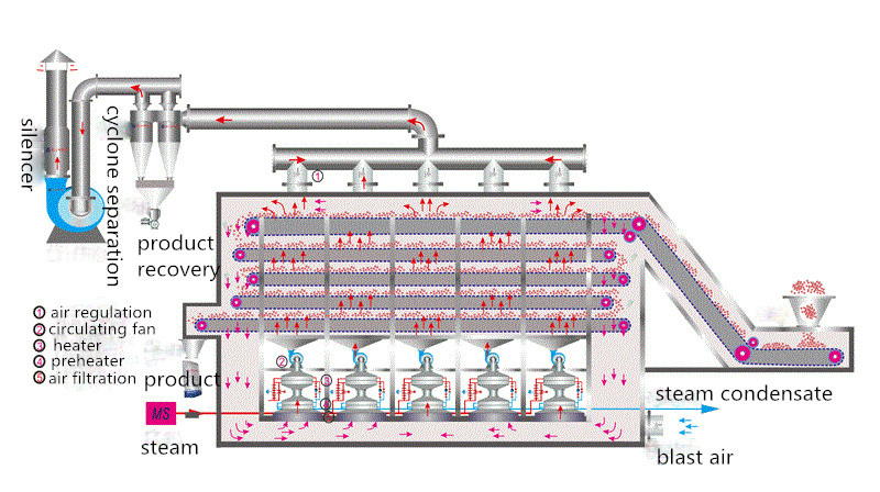 structure of the mesh belt dryer