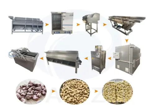 Cashew Nut Production Line