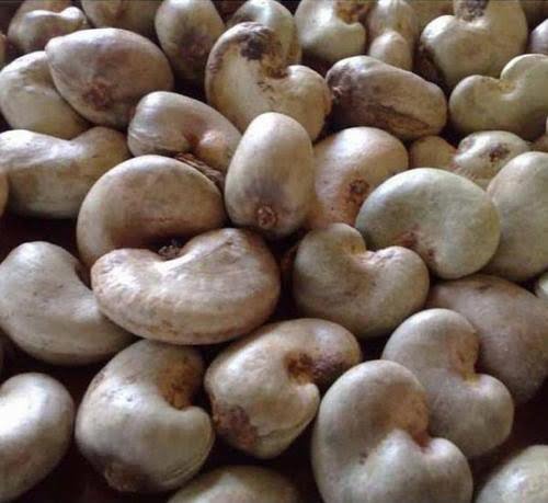High quality cashew nuts