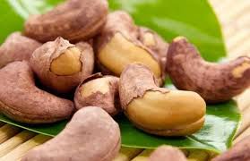 Cashew nut shell