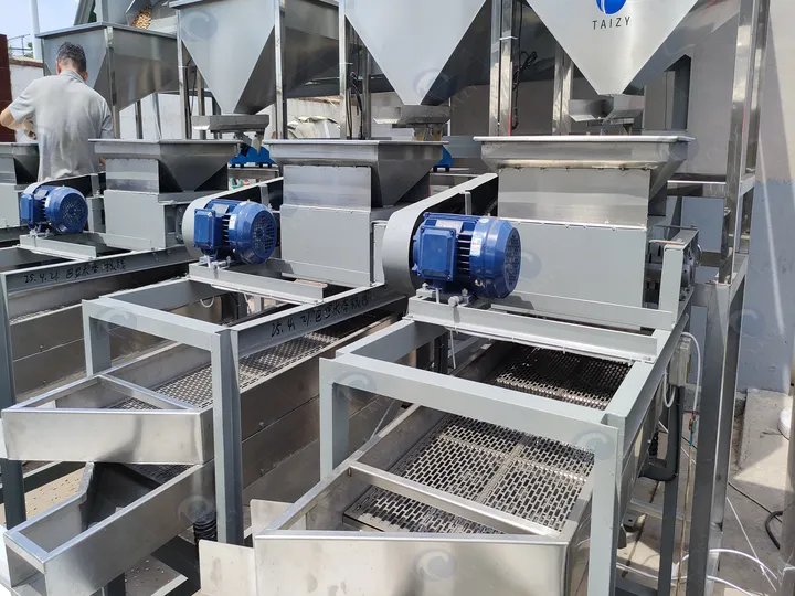 Fully Automatic Hulled Almond Processing Line 13 Máy tách vỏ hạt hạnh nhân