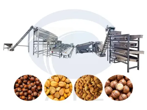 Fully Automatic Hulled Almond Processing Line