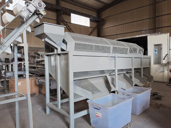 Fully Automatic Hulled Almond Processing Line 11 Rotary grading drum