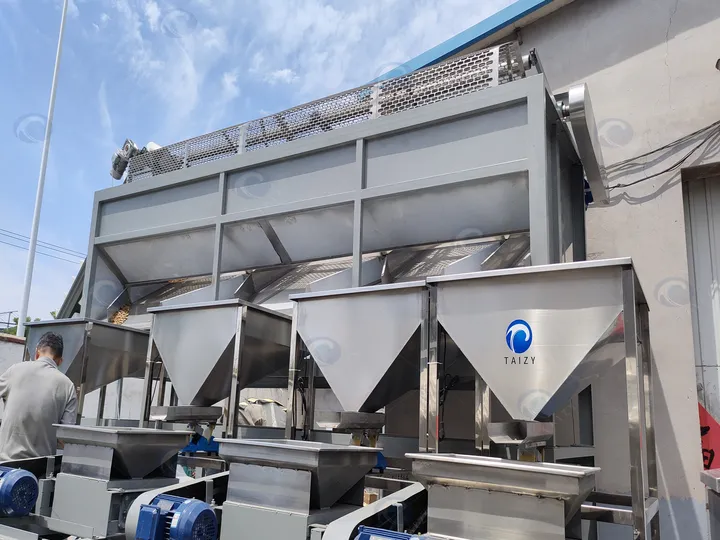 Fully Automatic Hulled Almond Processing Line 12 Storage hopper