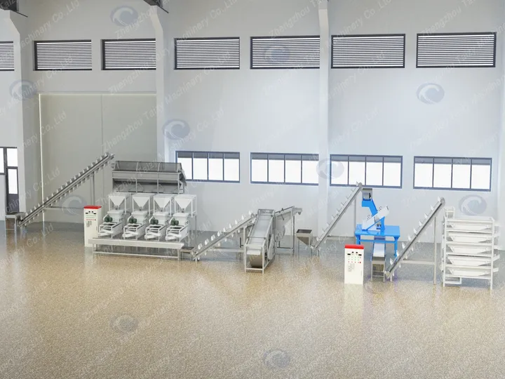 Fully Automatic Hulled Almond Processing Line 8 3d layout of the hulled almond processing line