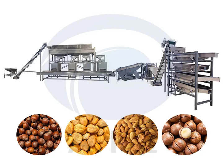 Fully Automatic Hulled Almond Processing Line 10 Fully automatic hulled almond processing line
