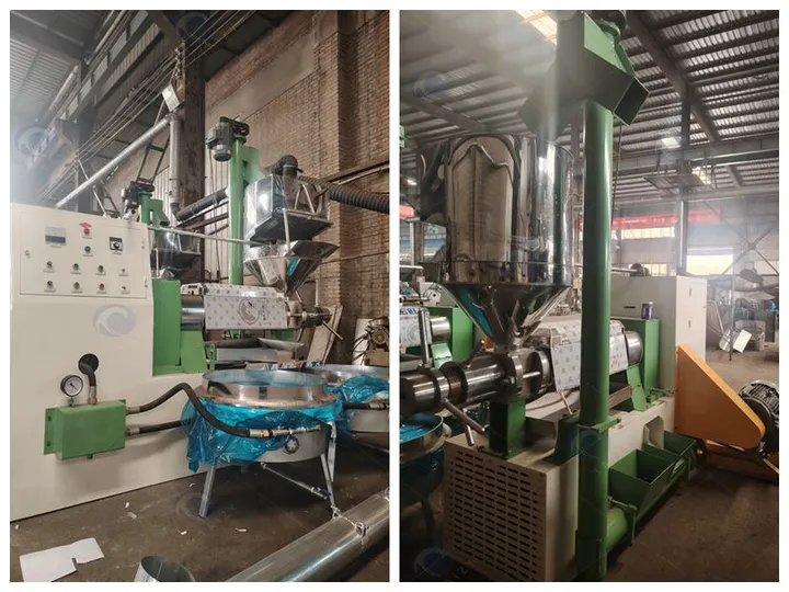 Custom screw oil press machine