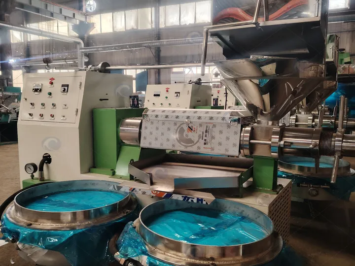 Screw oil press machine for sale