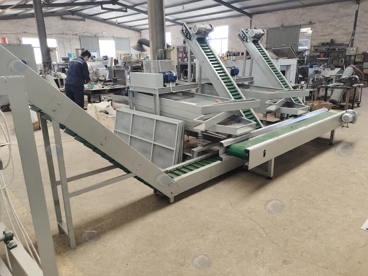 Машина для калибровки ядер Macadamia nut processing line manufacturer