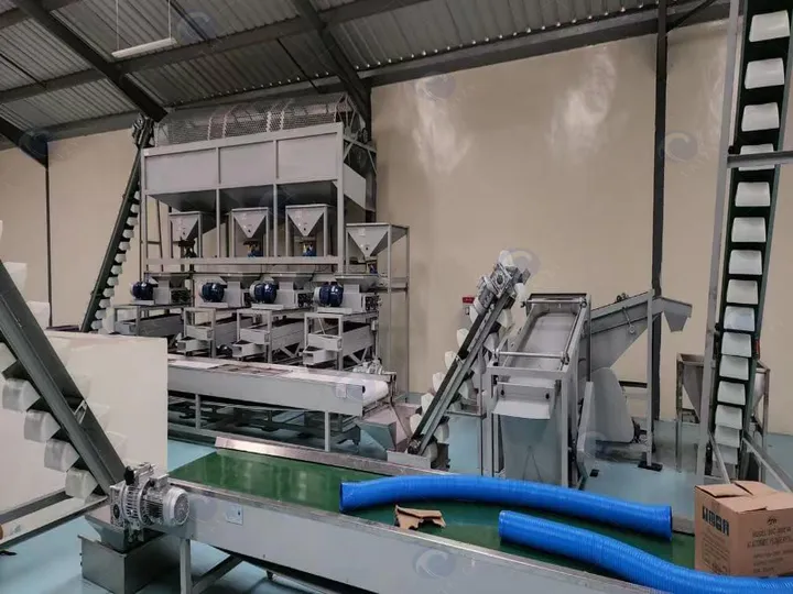 Производитель линии обработки макадамии Macadamia nut production line – customer installation feedback