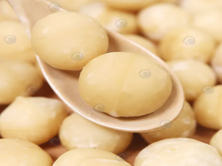 Что можно перерабатывать с помощью измельченного арахиса 23 Shelled macadamia nuts