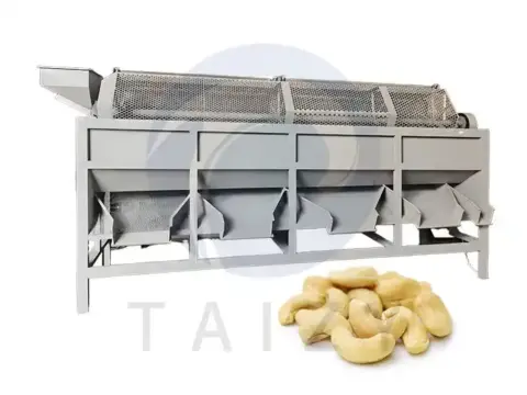 Cashew grading machine