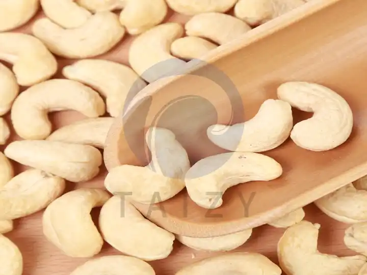 Anacardo