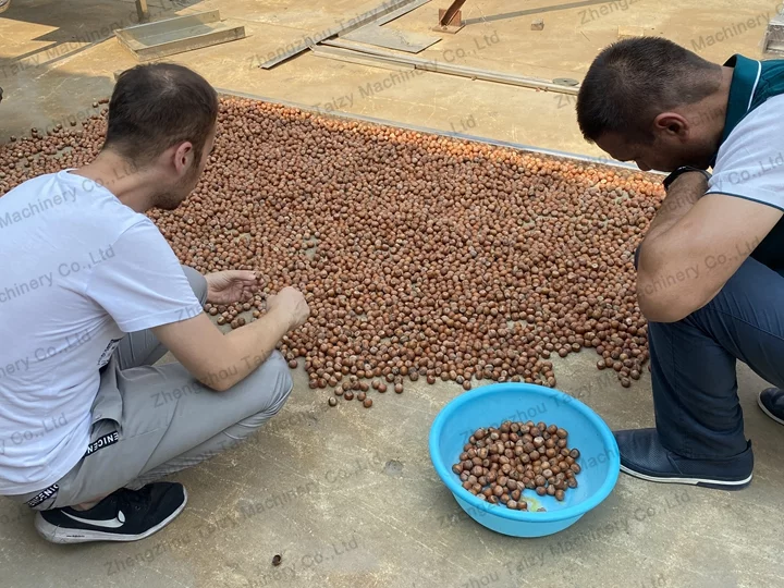 Un cliente de Tayikistán y su amigo están secando avellanas abiertas