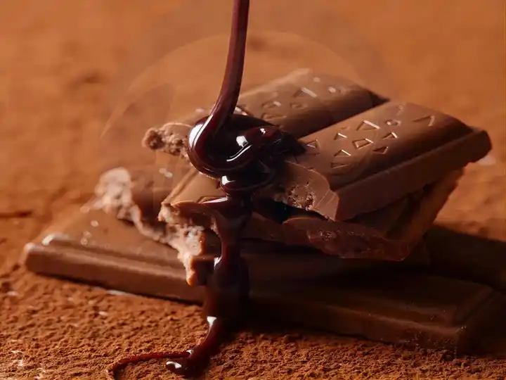 Linha de Produção de Pasta de Cacao 13 Produtos de chocolate