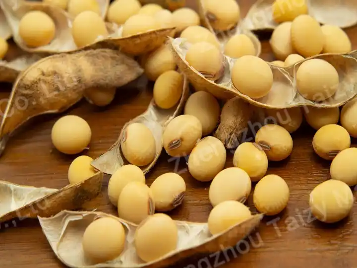 Mature soybeans