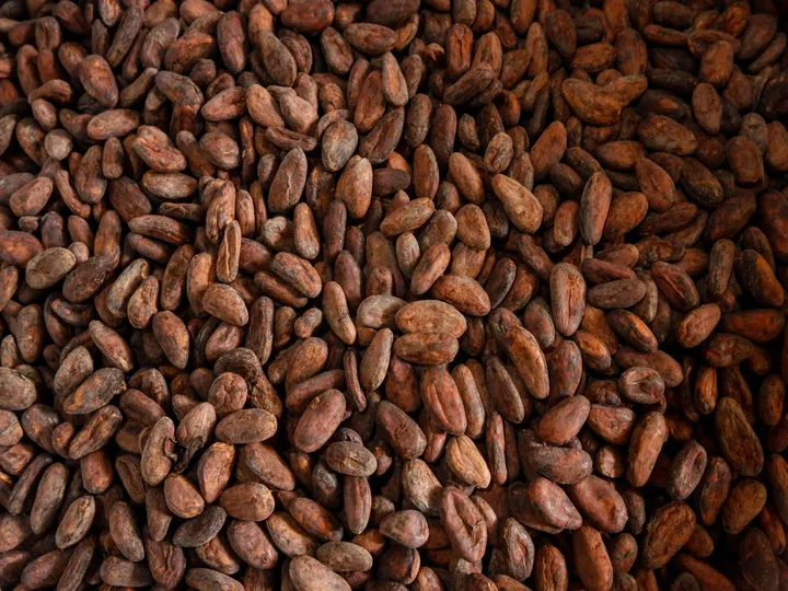 關閉搜索模態 之後