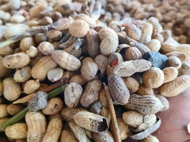 Amêndoas com impurezas