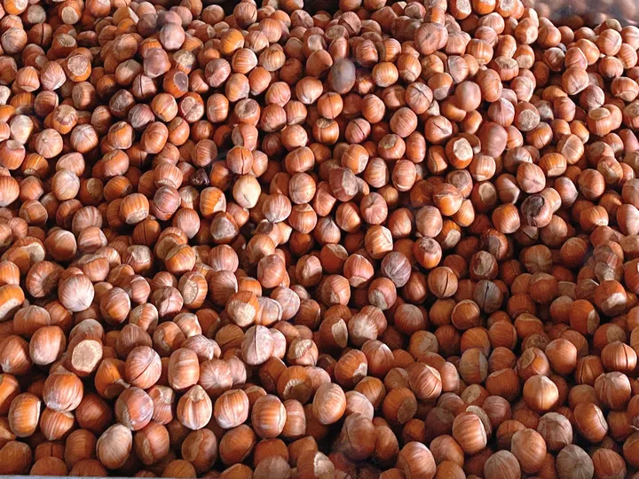 Hazelnut Slitting Production Line 3 Después