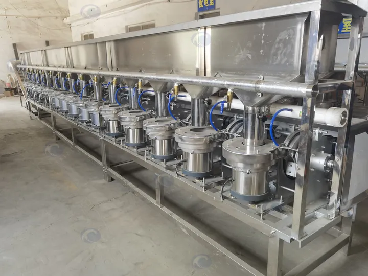 Hazelnut Slitting Production Line 8 Hazelnut slitting machine