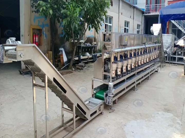 Hazelnut Slitting Production Line 4 Hazelnut slitting production line