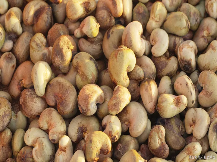 Unshelled cashew nuts
