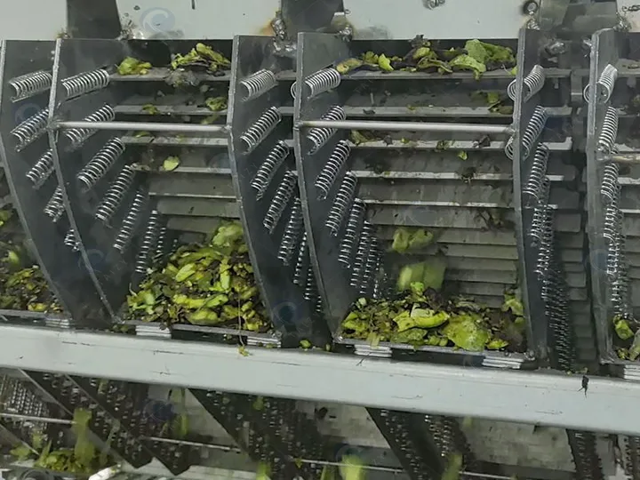 Walnut Green Husk Peeling Machine | Industrial Dry-Process Walnut Dehusker 14 Discharge outlet of walnut green husk peeling machine