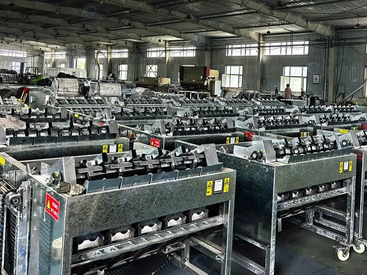 Walnut Green Husk Peeling Machine | Industrial Dry-Process Walnut Dehusker 13 Factory direct walnut green husk peeling machine