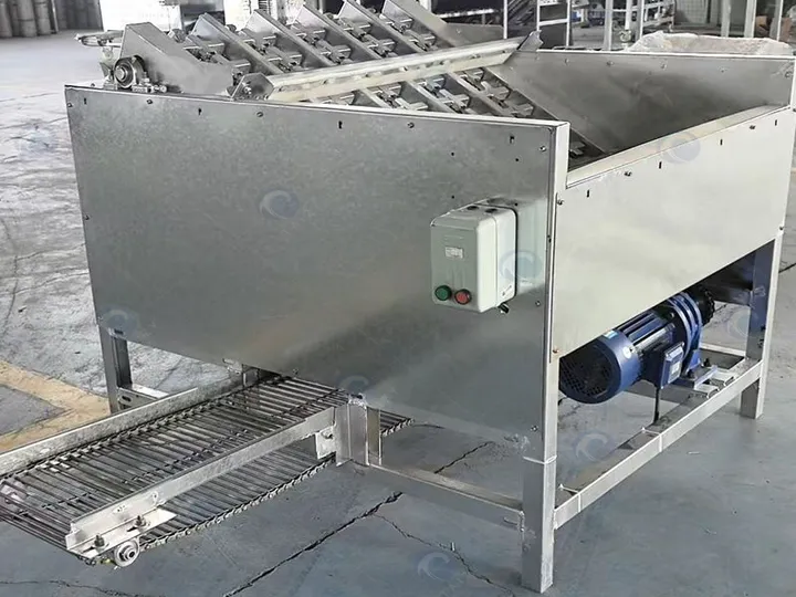 Walnut Green Husk Peeling Machine | Industrial Dry-Process Walnut Dehusker 10 Fully automatic walnut green husk peeling machine