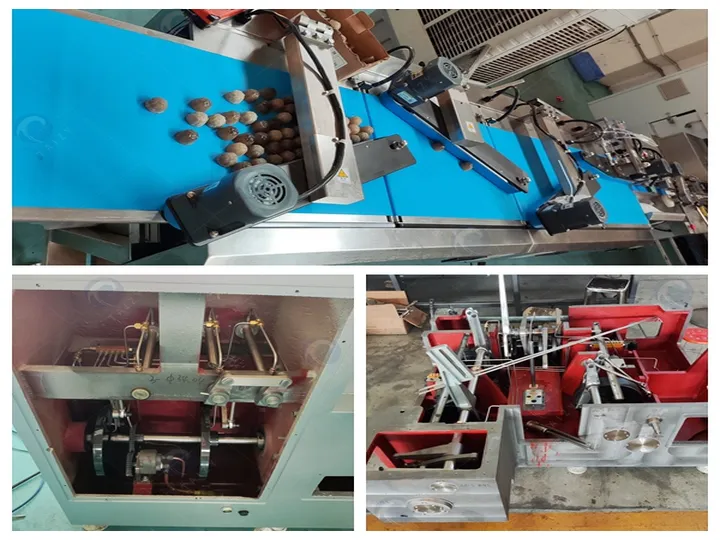 Automatic Chocolate Bar Packaging Machine | Tz-100Zr Fold-Wrap Cartoning System 8 Chocolate bar packing equipment – machine details