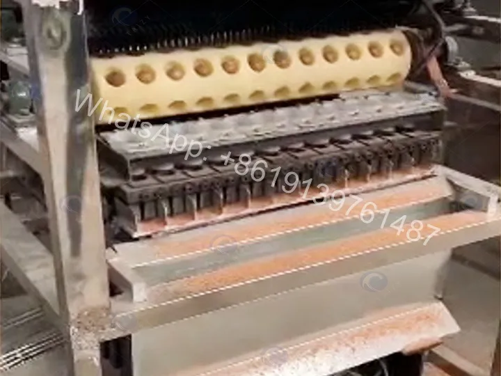 Macadamia Nut Opening Machine | Automatic Macadamia Slitting &Amp; Scoring Equipment 8 Internal structure of the macadamia nut opening machine