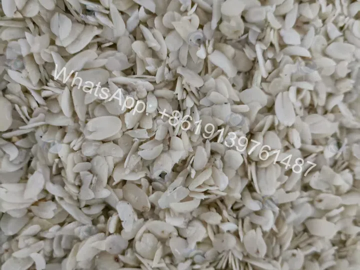 Almond Slicing Machine Successfully Shipped To Kenya In October 2026 5 Almond slicer machine testing